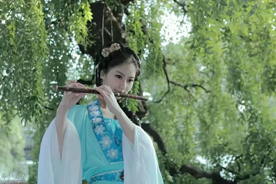 【檀香】叶与夏天有约(诗歌)