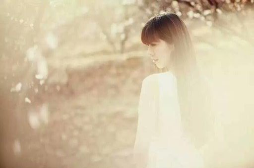 【檀香】六月的花朵（诗歌）