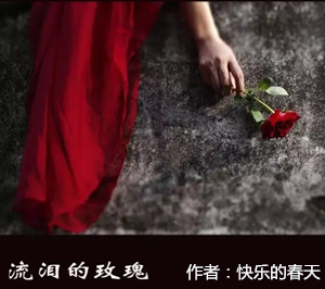 【柳岸•旅】流泪的玫瑰（微小说）