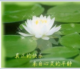 【如云】人间至味是清欢（诗歌）