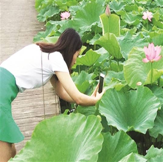 【天涯】藏不住的美丽〔诗歌〕