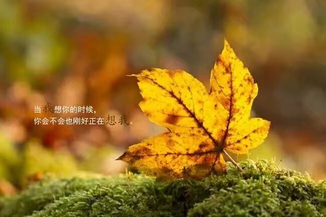 【渔舟】愿岁月静美，你我一切安好（散文诗）