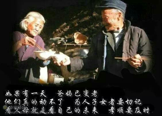 【桃源味道】羞答答的“七夕”静静地开（随笔）