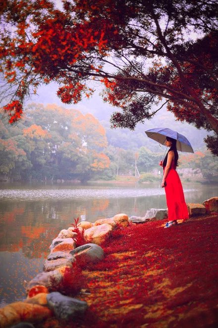 【檀香】我对彩云思想（诗歌）