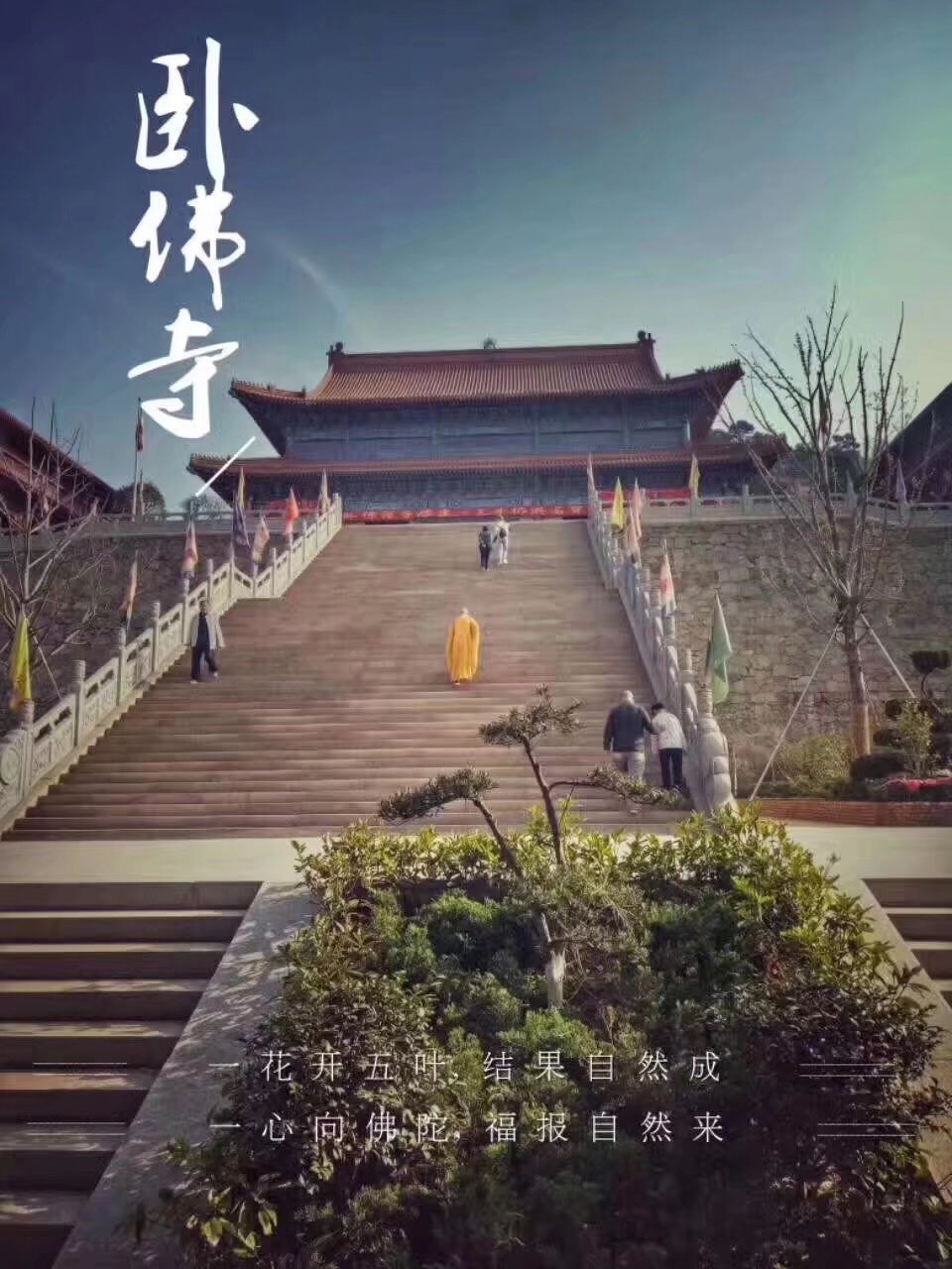 【如云.净域杯】阿掖山卧佛寺，我心中的圣地（散文）
