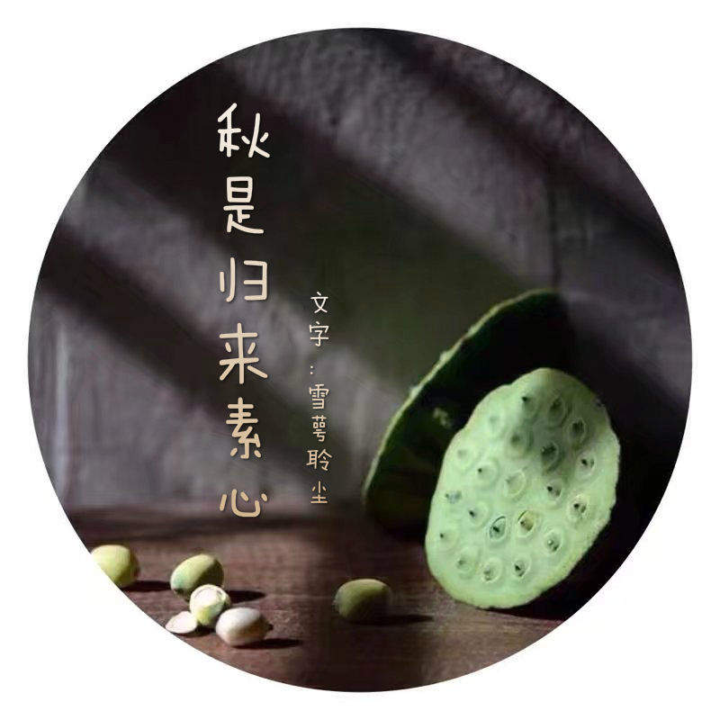 【荷塘“童话之秋”征文】秋是归来素心（散文）