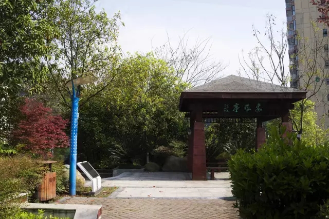【晓荷*人间百态】大自然的馈赠（征文 .随笔）