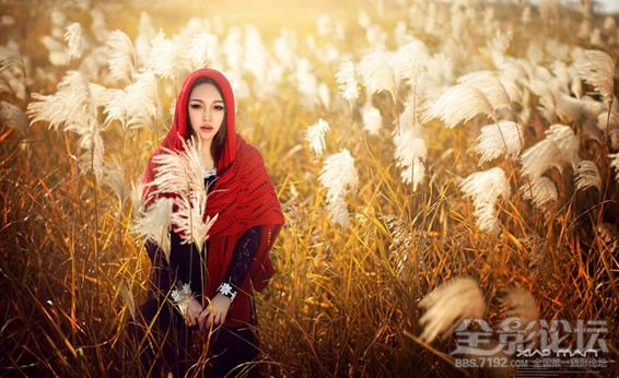 【天涯】思绪，存于秋天的事物（诗歌）