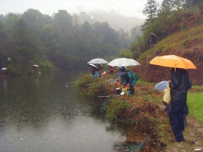 【晓荷*人间百态】雨中垂钓（外一首）（诗歌）