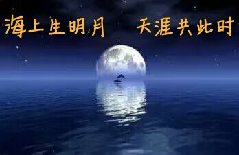 【菊韵】有一种月光，叫故乡（散文诗）