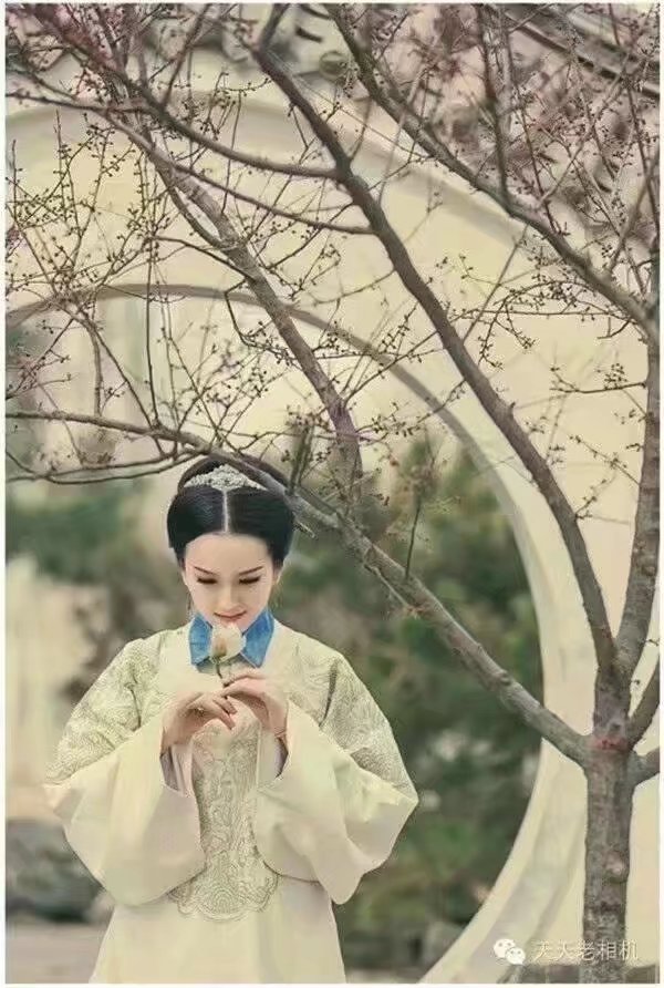 【檀香】弦思心曲（诗歌）