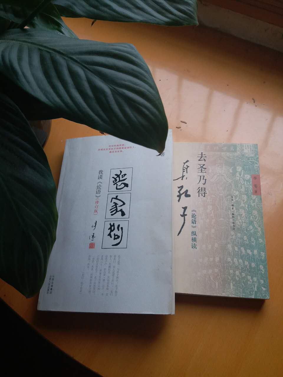 【荷塘】  读《丧家狗》（ 随笔）