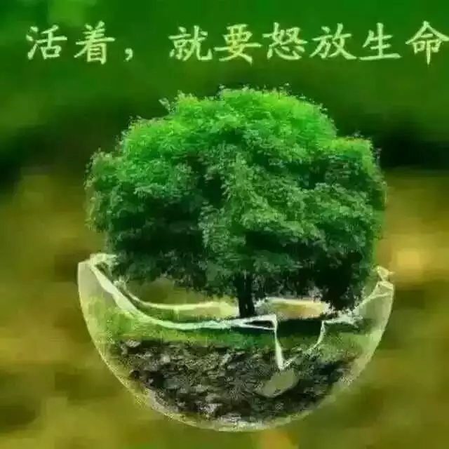 【专栏】我是一把伞