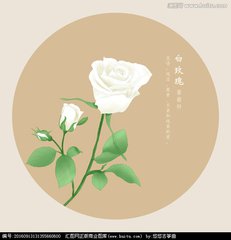 爱你，心中那朵白玫瑰（散文）