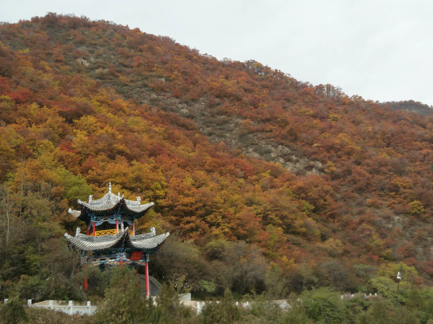 【荷塘“有奖金”征文】父亲和兴隆山（散文）