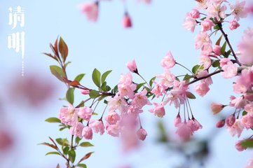【流年】清明时节蛙声起（散文）