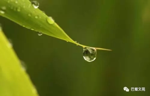 【菊韵】立冬（外四首）