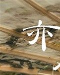 蝶恋花一组