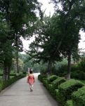 【专栏】一片飞絮，刷白了记忆的青春