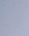 你那里下雪了吗