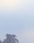 【专栏】腊八，我的生日