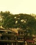 黄龙溪古镇游