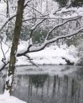 向往北国