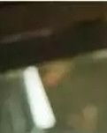 【专栏】女人优雅如诗