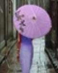 雨巷情思