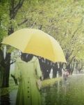 秋雨.回忆