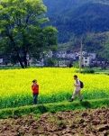 【小说征文】草戒