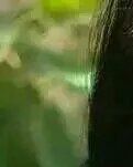 网络一孤魂