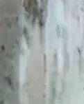 【专栏】我的世界有条细长而又延绵的小巷