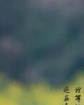 【专栏】遇见