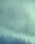 【专栏】飘在灵魂的曾经