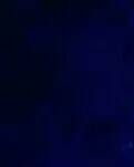 【专栏】夜