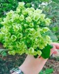 时光漫长，不及你眉眼如画