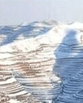 故乡的雪