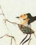 【专栏】诗人与诗（组诗）