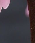 【专栏】为你写一首春天的小诗