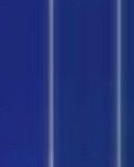 【专栏】精灵少女