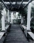 【专栏】晚日孤园
