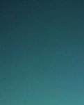 今夜，把心情托付于夜空