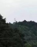【专栏】我想活成一条鱼的模样