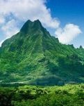 【短文】游云紫峰