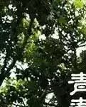 忆兵营之我的新兵连
