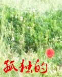 【专栏】孤独的小花