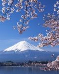 在日本做了一回乡巴佬