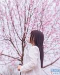 孟卡山上的春天