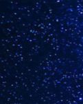 【专栏】星辰